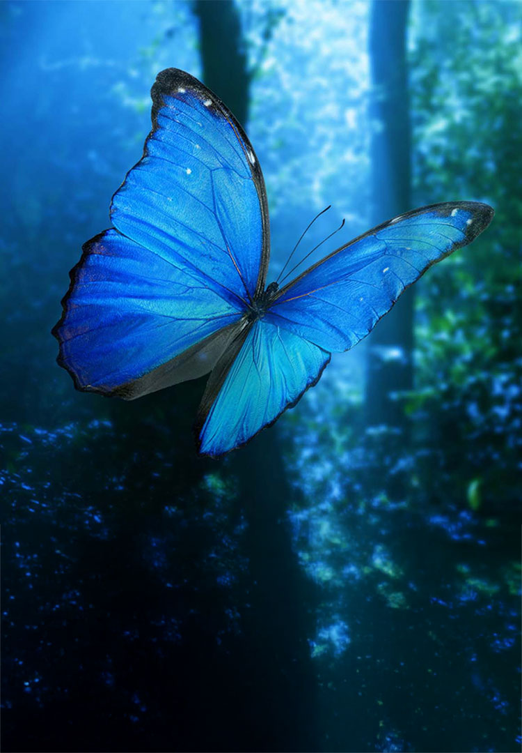 キービジュアル画像：キヤノンITソリューションズ共想共創フォーラム2025