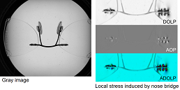メガネレンズの偏光画像