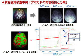 食材品質検査事例「アボカドのあざ検出と分類」