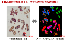 食品素材分類事例「ピーナッツの中身と殻の分類」