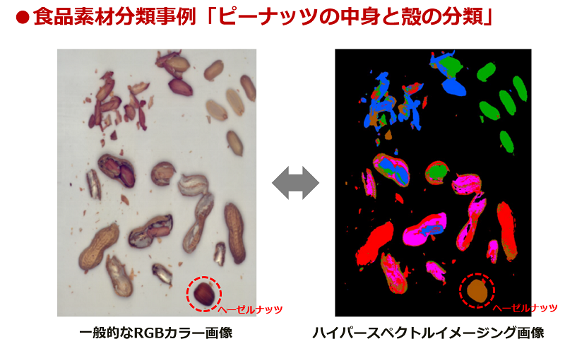 食品素材分類事例「ピーナッツの中身と殻の分類」