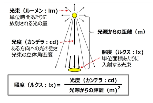 光の単位の種類