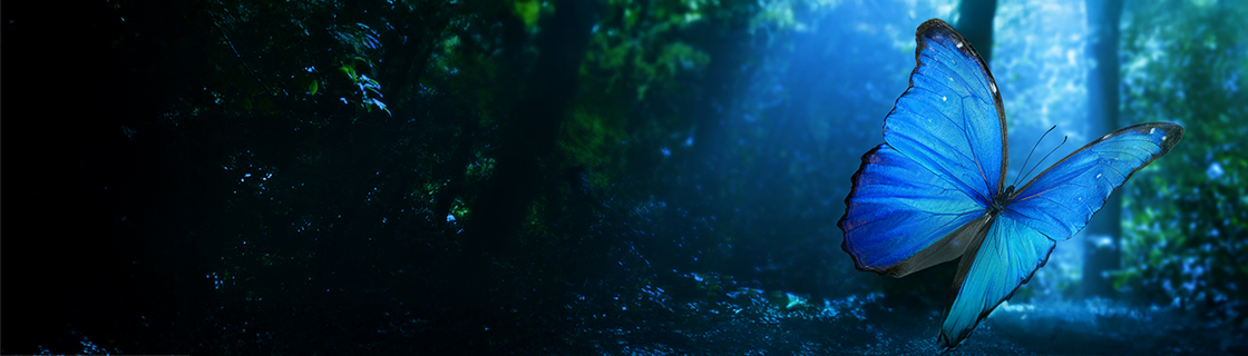 画像：キービジュアル