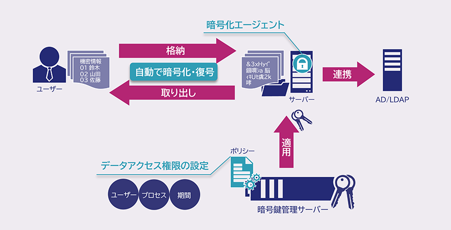 図:システムの構成