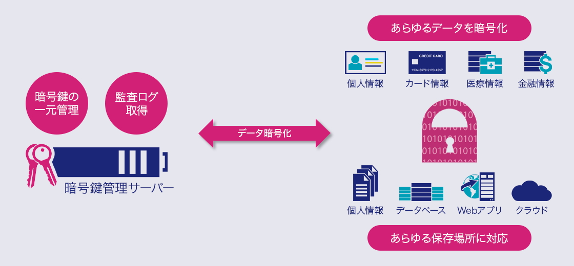 図:あらゆる環境に保存されたデータを保護します