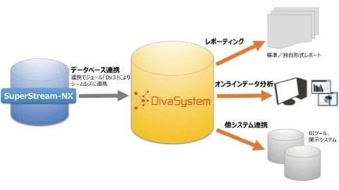 図:DivaSystem