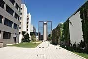 徳島大学