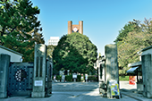 東京大学　外観