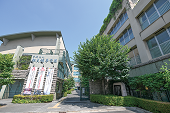 学校法人 郁文館夢学園様