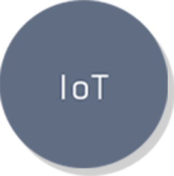 IoT