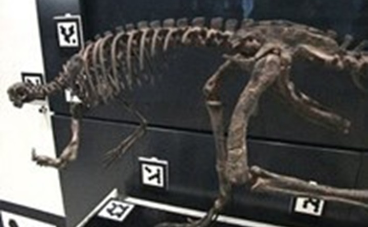 MREAL使用イメージ