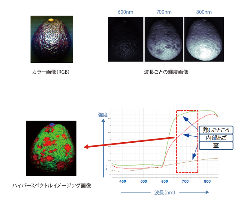 食材品質検査事例