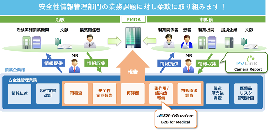 安全性情報管理部門の業務課題に対し、柔軟に取り組みます